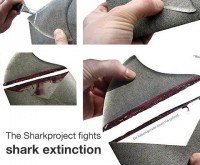 Sharkproject: Fin