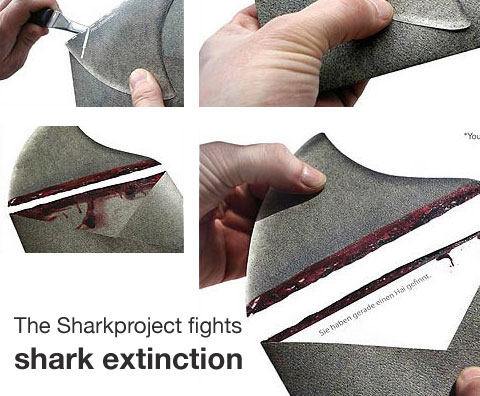 Sharkproject 1
