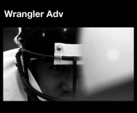 Wrangler: Why