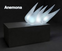 anemona by Igor Pinigin