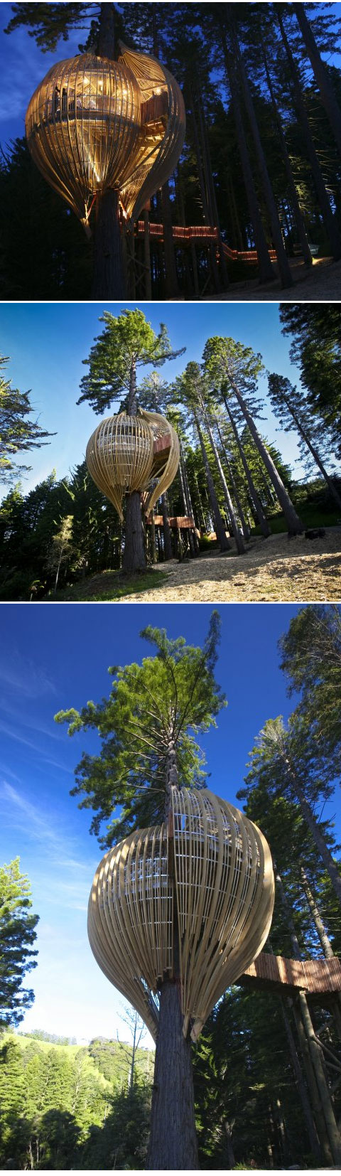 The Yellow Treehouse Restaurant 2