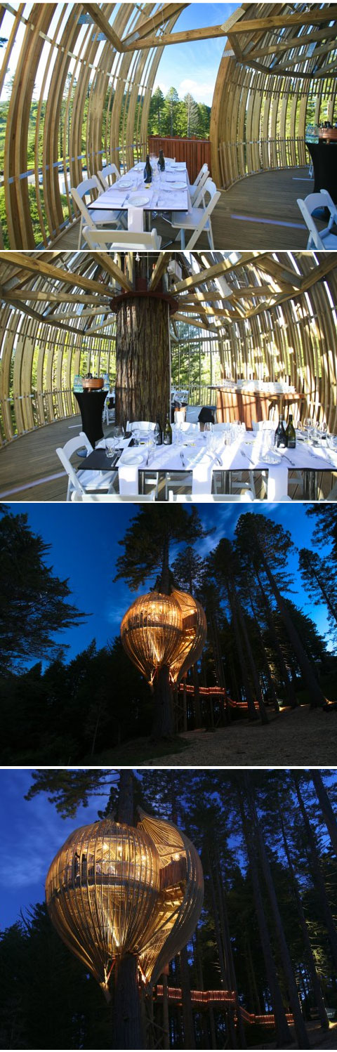 The Yellow Treehouse Restaurant 3