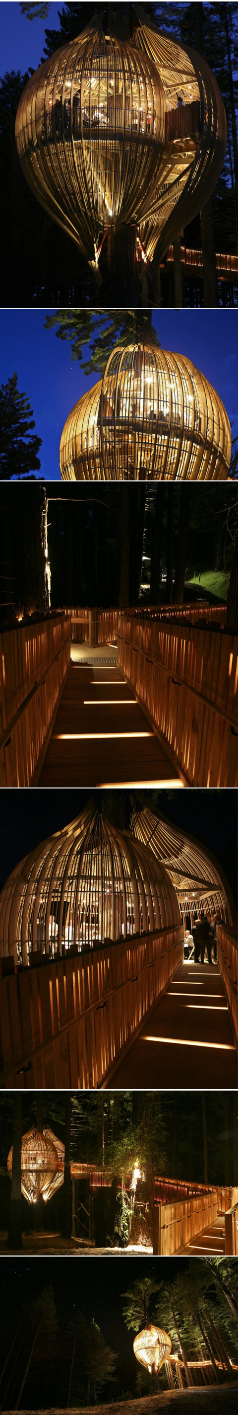 The Yellow Treehouse Restaurant 4