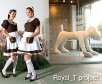 Royal_T project / wHY Architecture