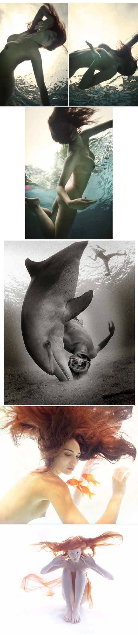 zena holloway 2