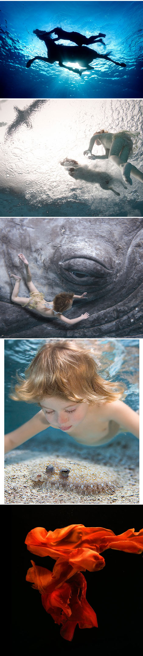 zena holloway 3