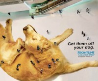Tick spray: Crawling