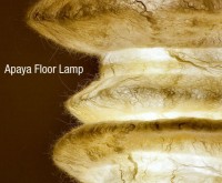 Apaya Floor Lamp