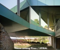 House among Pines / XPIRAL