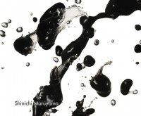 Shinichi Maruyama