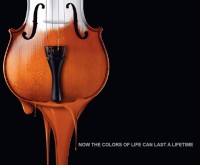 Valspar Paints Adv