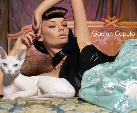 gaetan-caputo-1