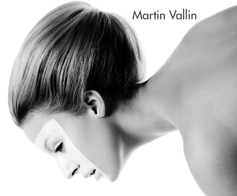 martin vallin 1