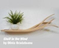Shelf in the Wind by Olivia Bradateanu