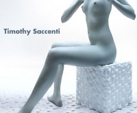 Timothy Saccenti