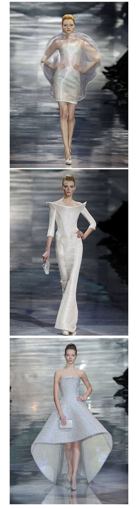Spring Couture 2010 Armani Privé 4