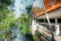 Surry Hills Library by FJMT 4