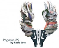 Pegasus 89 by Rosie Lees 1