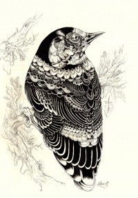 Iain-Macarthur-2