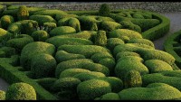 The-Gardens-of-Marqueyssac-3