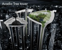 Acadia Tree tower