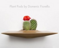 Plant Pods by Domenic Fiorello