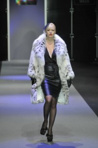 AVANTI Furs