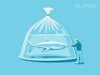 Glennz-Tees-4