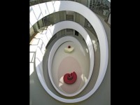 the-cocoon-5