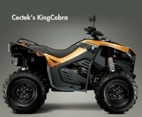 Cectek’s KingCobra
