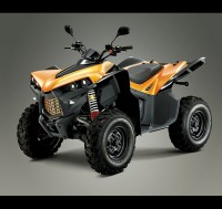 Cectek-s-KingCobra-4