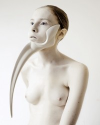 The-Other-Side-Of-Evolution-by-Ana-Rajcevic-2