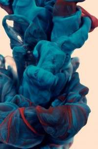 a-due-colori-alberto-seveso-4