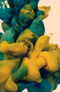 a-due-colori-alberto-seveso-8