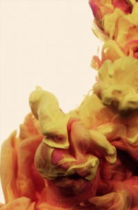 a-due-colori-alberto-seveso-9