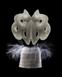 Iris-Van-Exhibition-at-the-Groninger-Museum-2