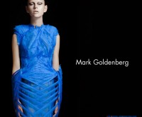 Mark Goldenberg