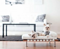 Modern Pet Bed