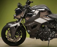 Vilner Custom Bike BMW F 800 R Predator