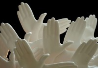 Bird-in-hand-5