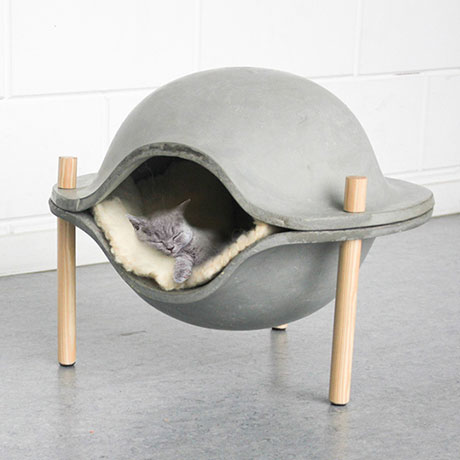 Cosy and Indestructible Concrete Pet Bed - cover