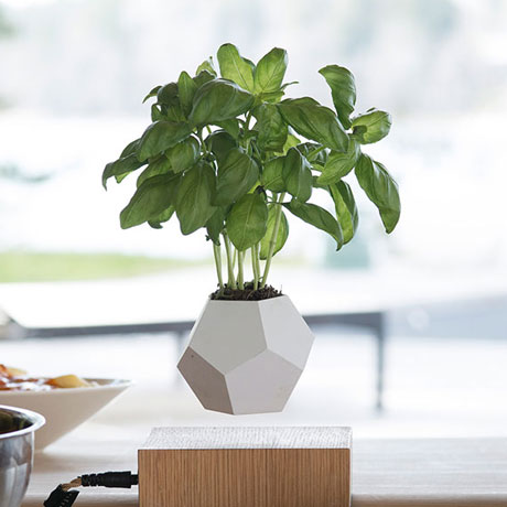 Futuristic Floating Plants - cover