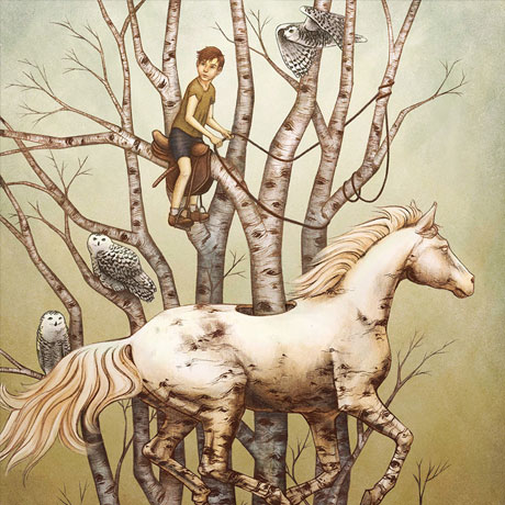 A Naturalistic Illustrator - cover