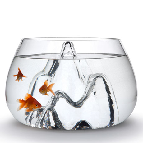 A fishbowl can be a decorative element - cover