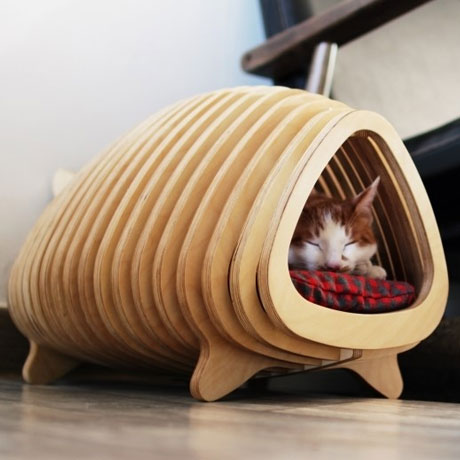 We want our cat to live healthy and comfortably - cover