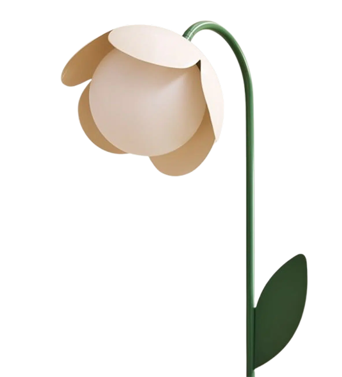 About us flower