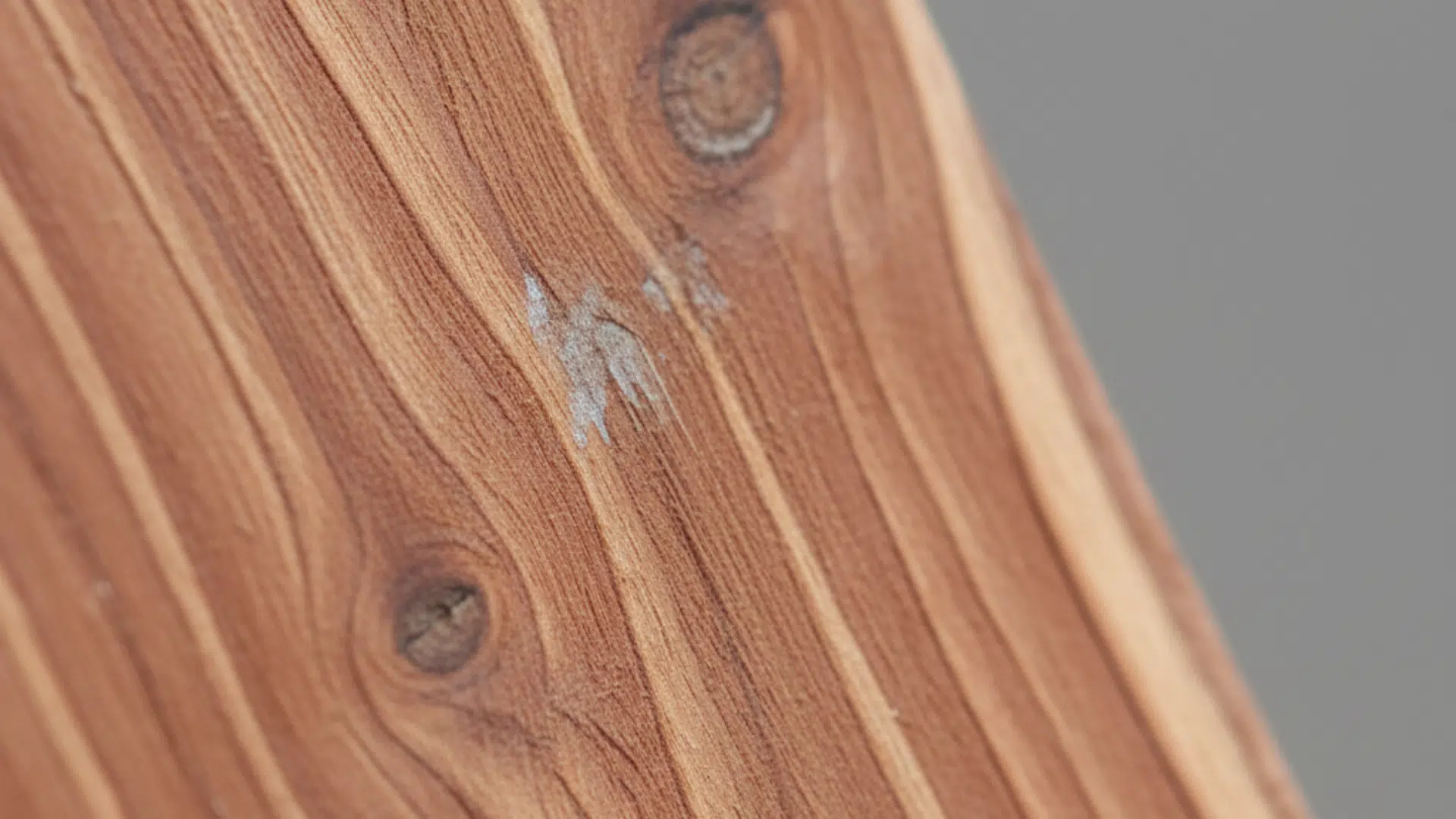 Cedar