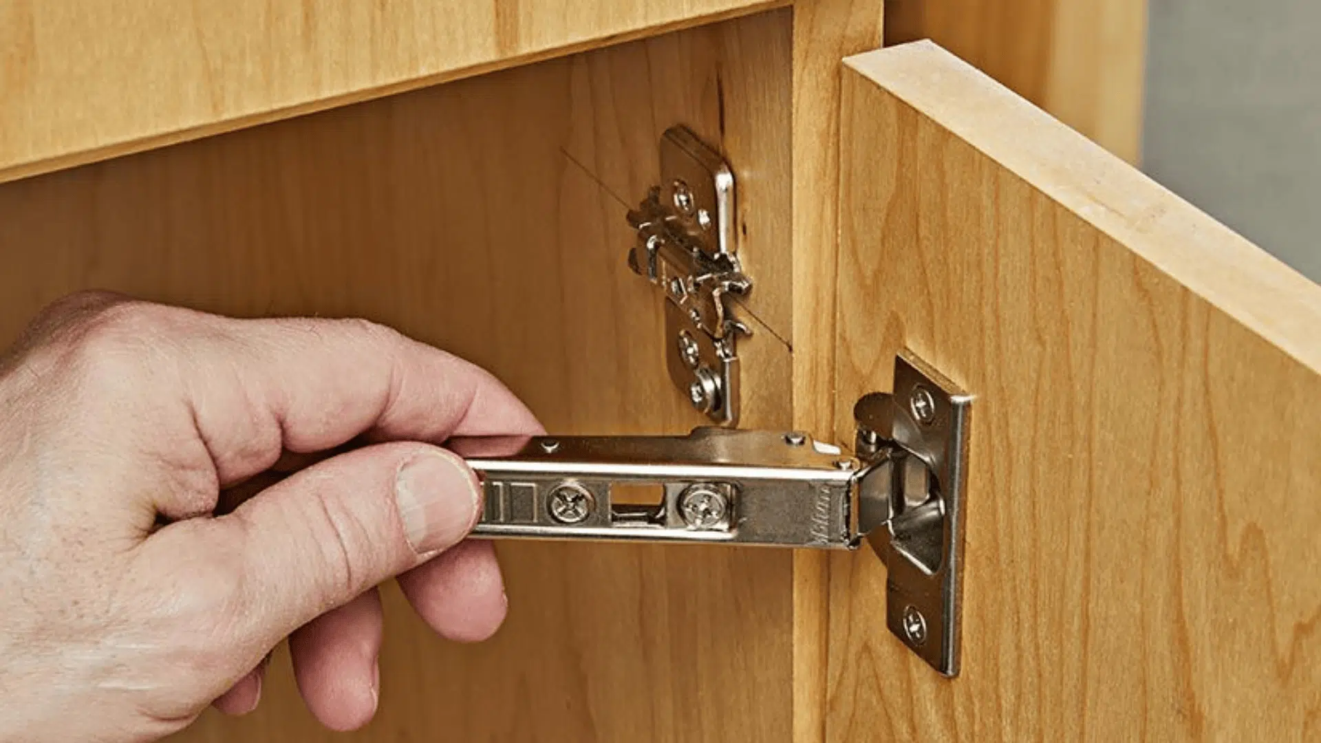 European Hinge
