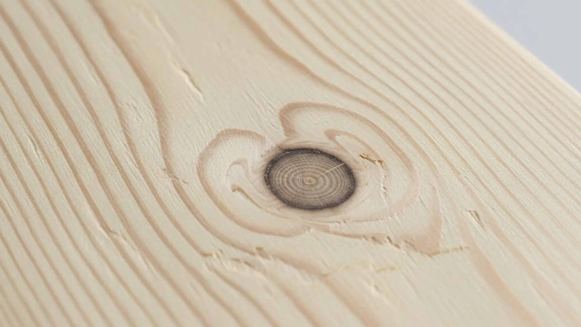 Pine