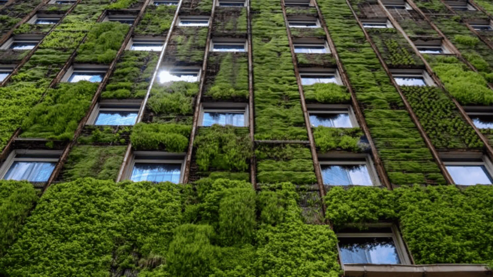 The Core-Principles-Of-Sustainable-Architecture